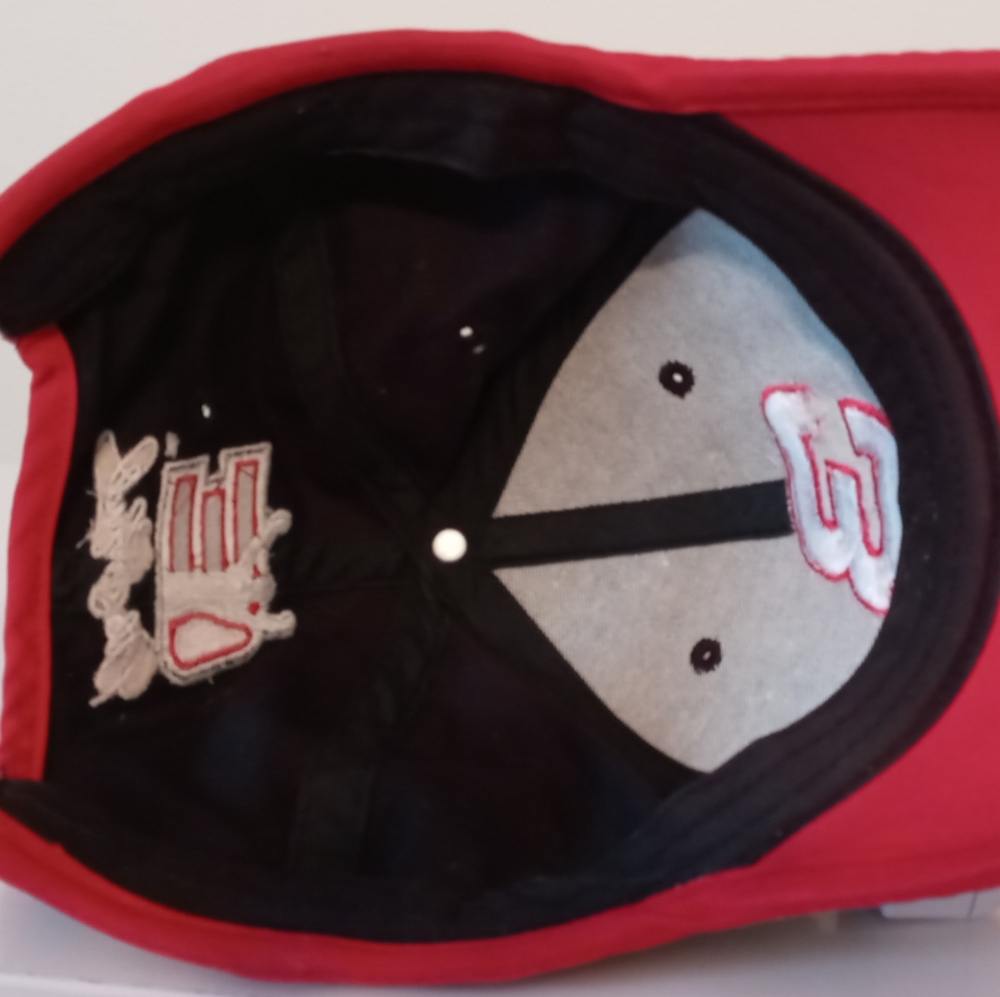 Dale Earnhardt Sr. Baseball Hat - Picture 5 of 7